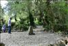 Jardin Botanico (22)